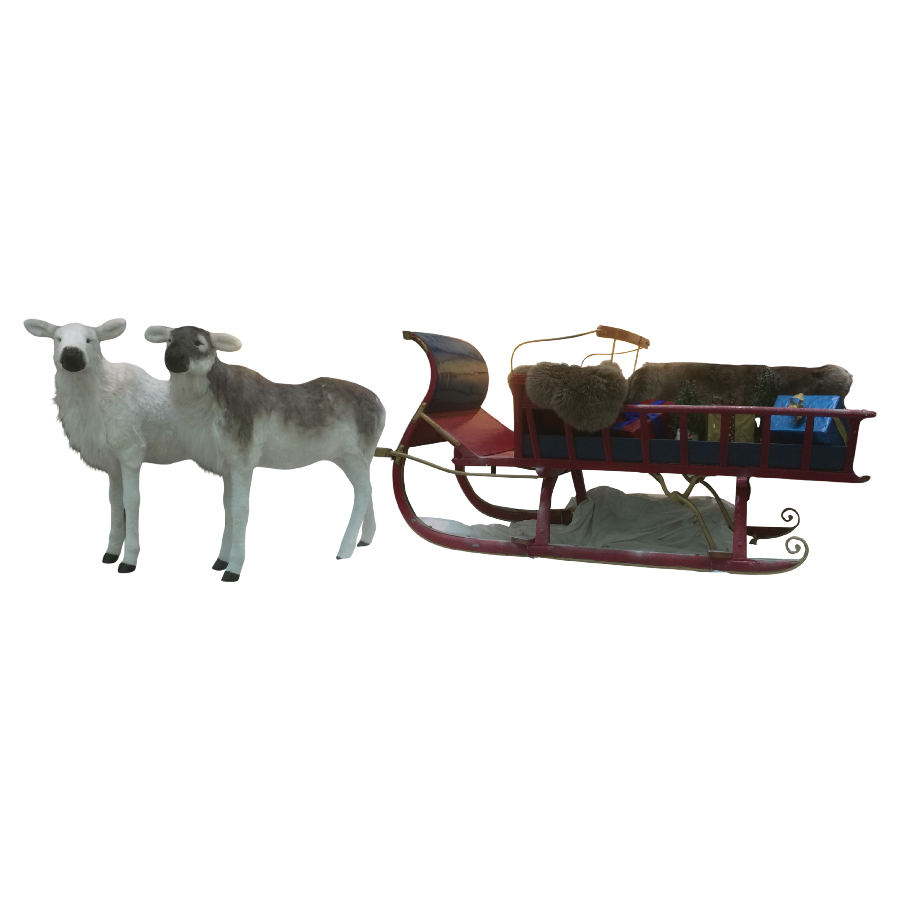 Schlitten inkl. Geschenken und Rentiergespann